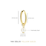Delia Crest Earrings | Gold